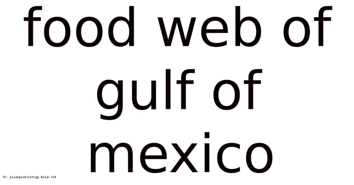 Food Web Of Gulf Of Mexico