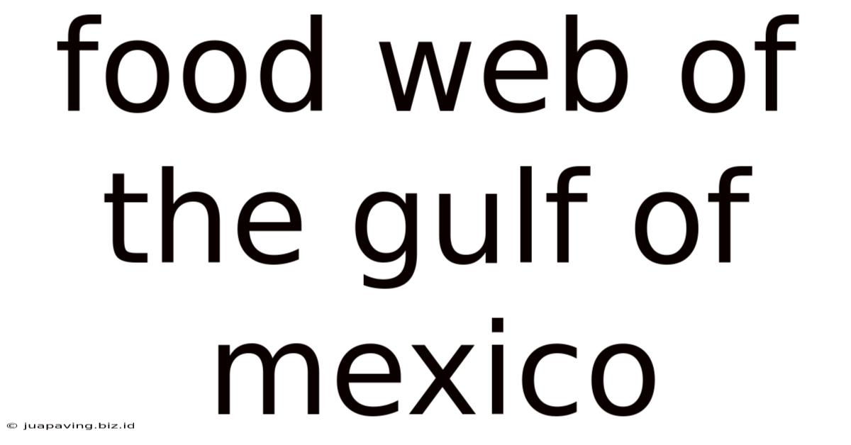 Food Web Of The Gulf Of Mexico