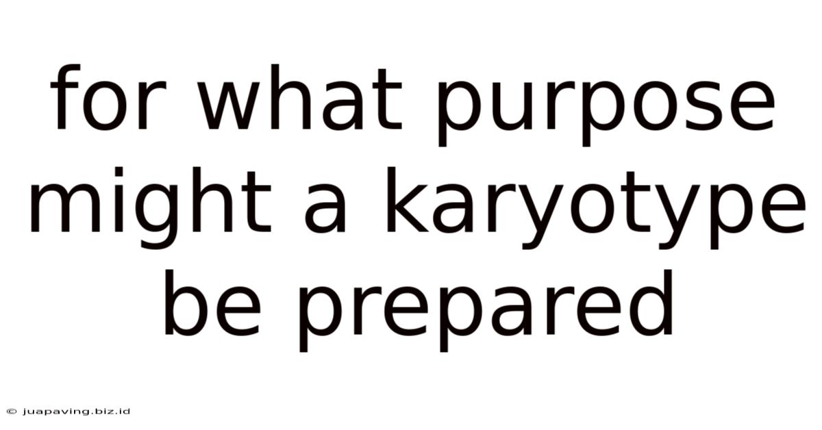 For What Purpose Might A Karyotype Be Prepared