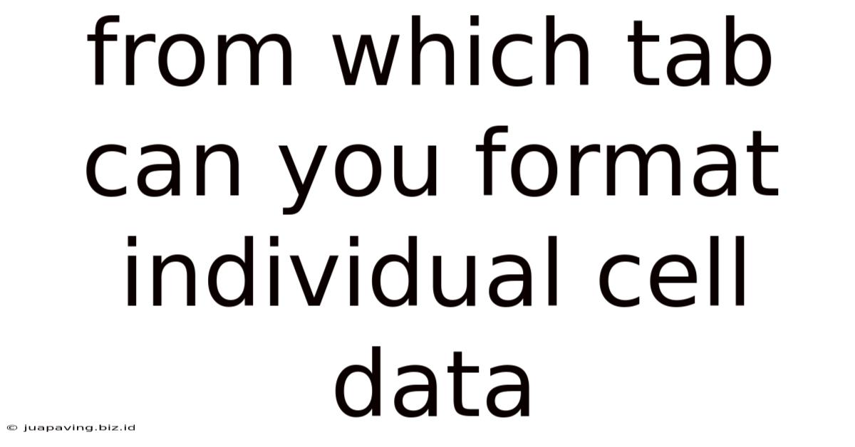 From Which Tab Can You Format Individual Cell Data