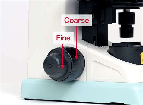 Function Of The Fine Adjustment Knob On A Microscope