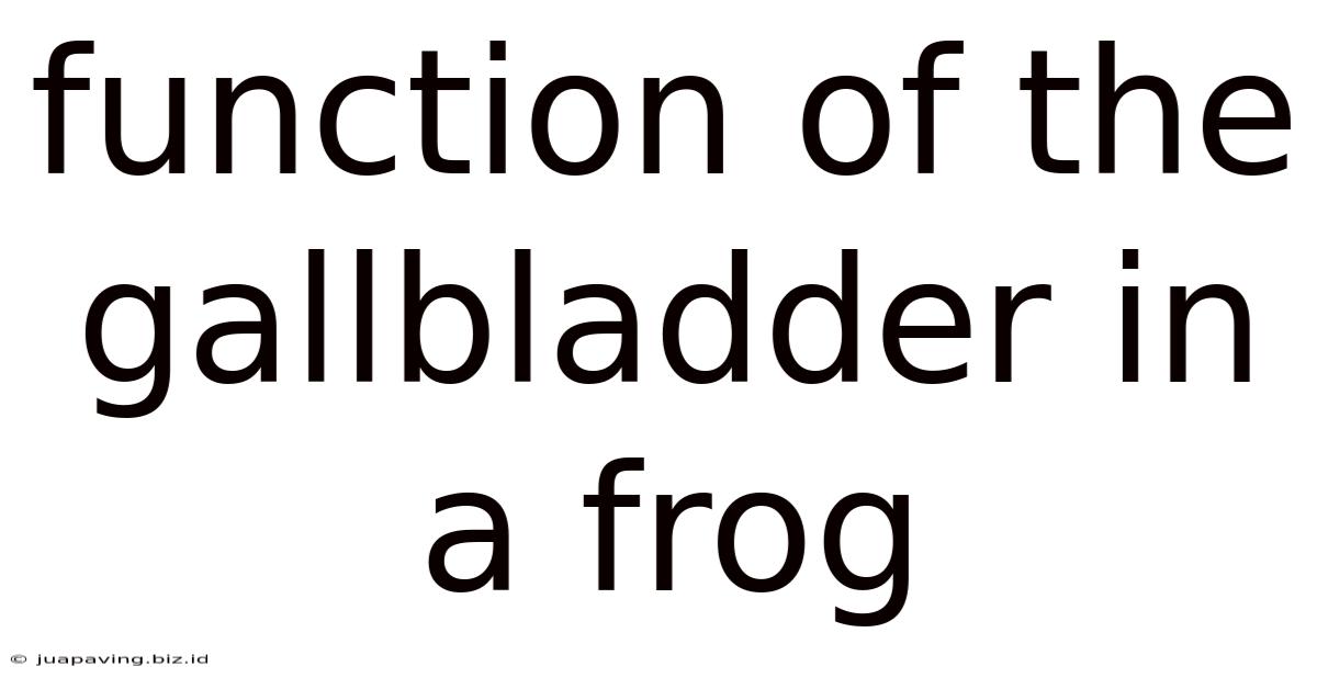 Function Of The Gallbladder In A Frog