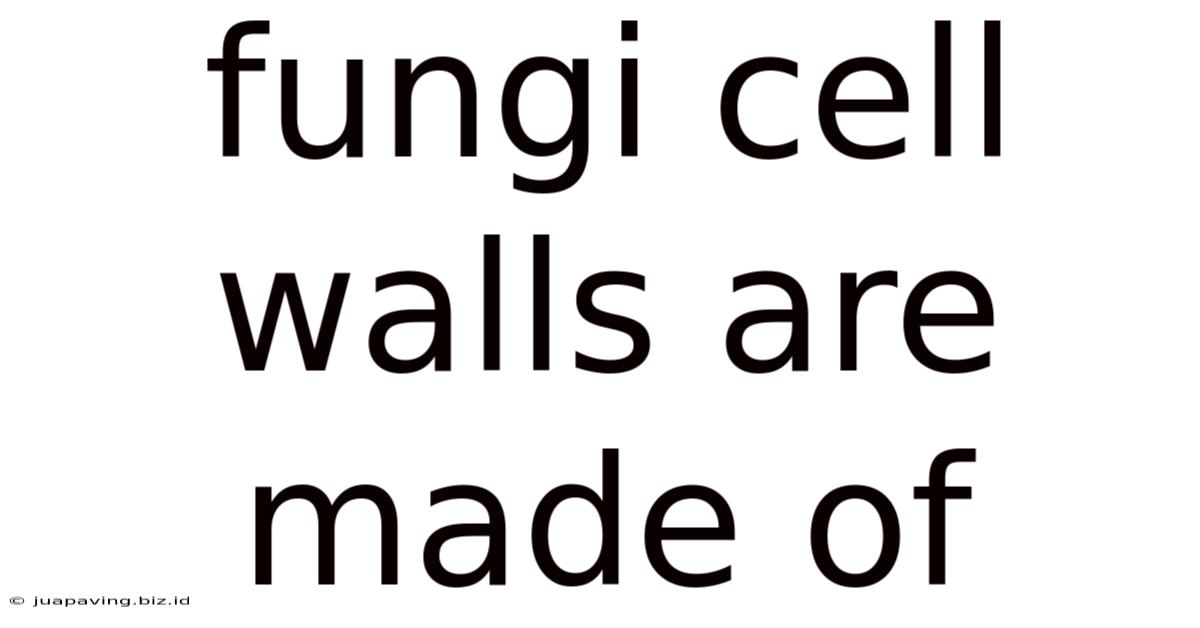 Fungi Cell Walls Are Made Of