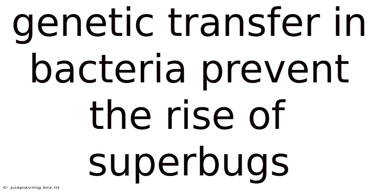 Genetic Transfer In Bacteria Prevent The Rise Of Superbugs