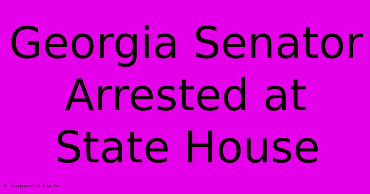 Georgia Senator Arrested At State House