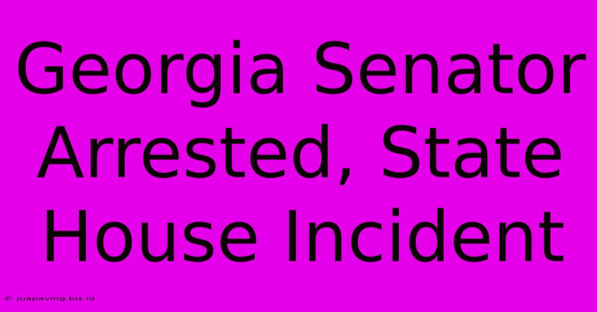 Georgia Senator Arrested, State House Incident