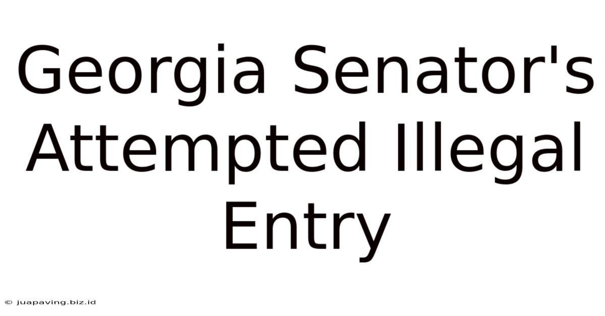 Georgia Senator's Attempted Illegal Entry