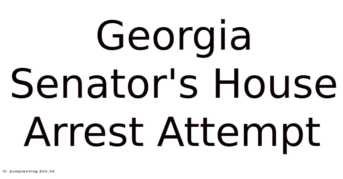 Georgia Senator's House Arrest Attempt