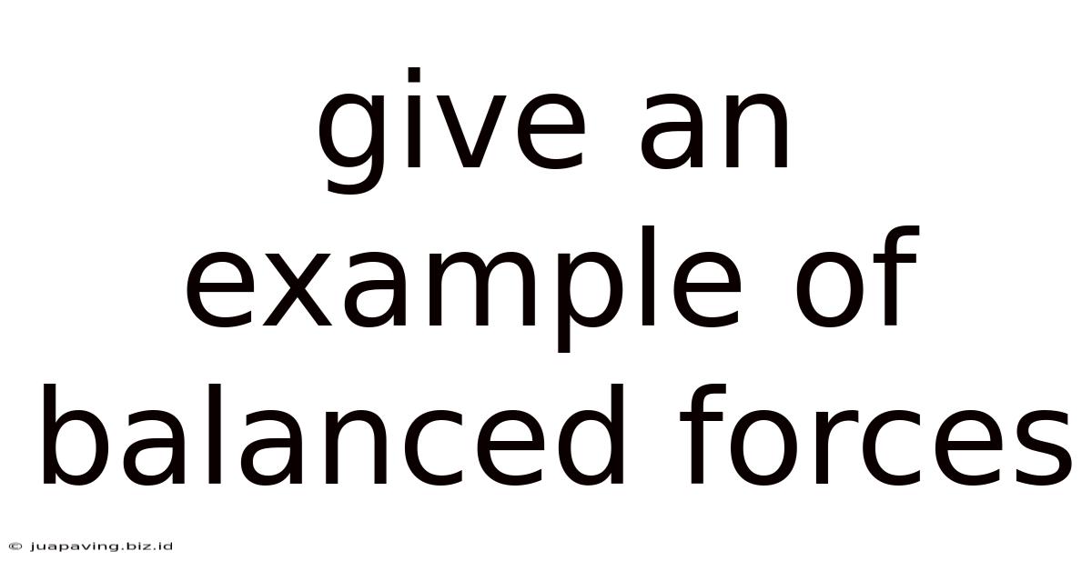 Give An Example Of Balanced Forces