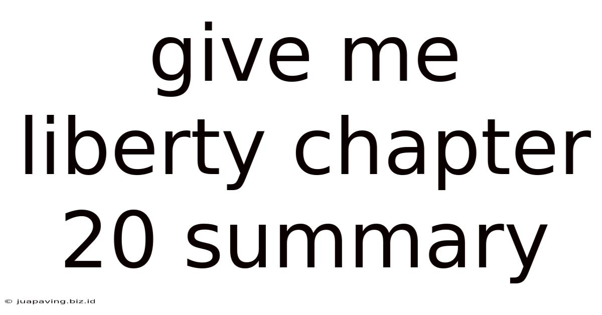 Give Me Liberty Chapter 20 Summary