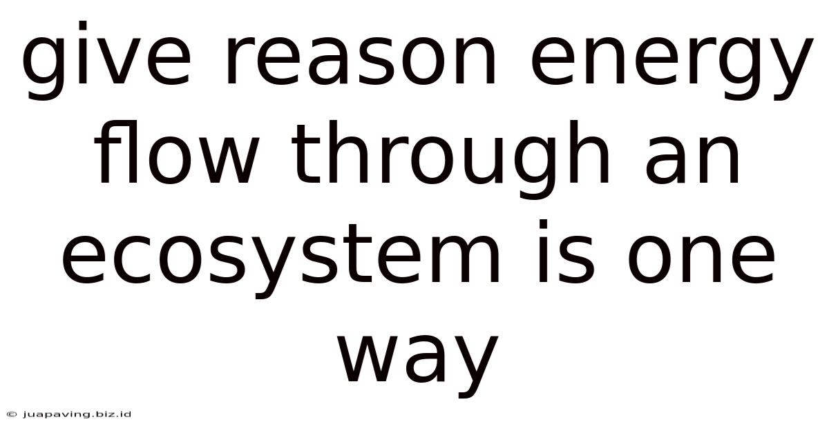Give Reason Energy Flow Through An Ecosystem Is One Way