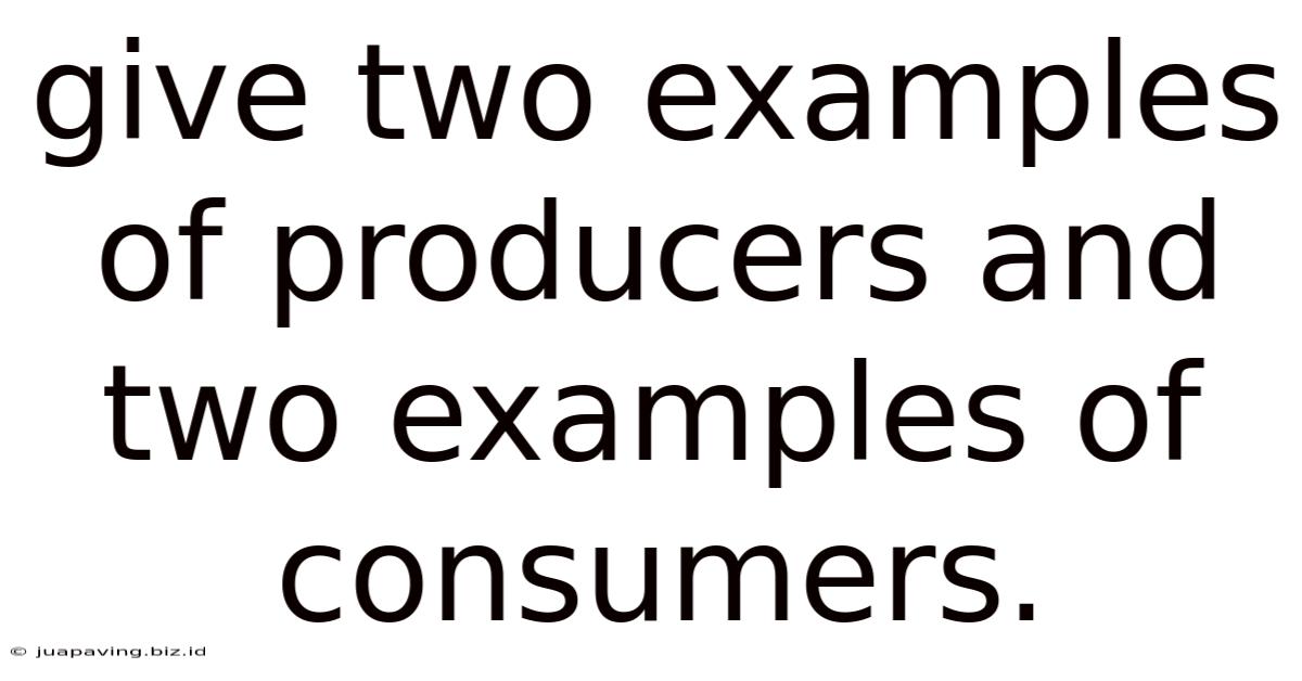 Give Two Examples Of Producers And Two Examples Of Consumers.