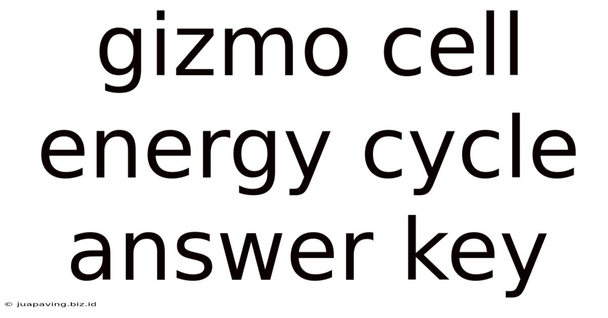 Gizmo Cell Energy Cycle Answer Key