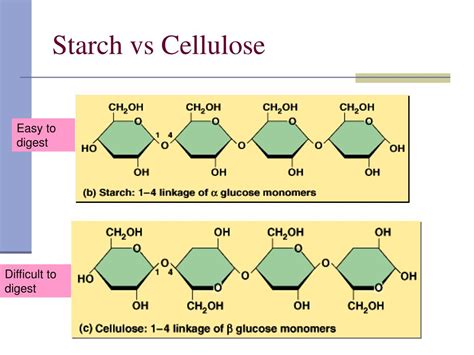 Glucose Starch And Cellulose Are All Examples Of