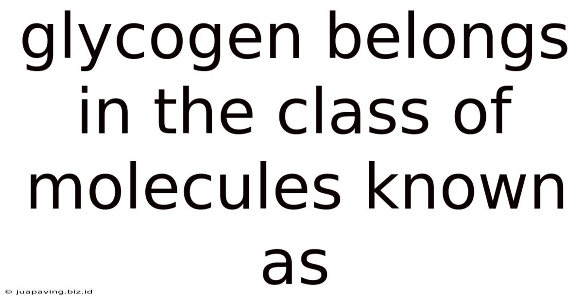Glycogen Belongs In The Class Of Molecules Known As