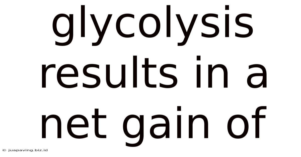 Glycolysis Results In A Net Gain Of