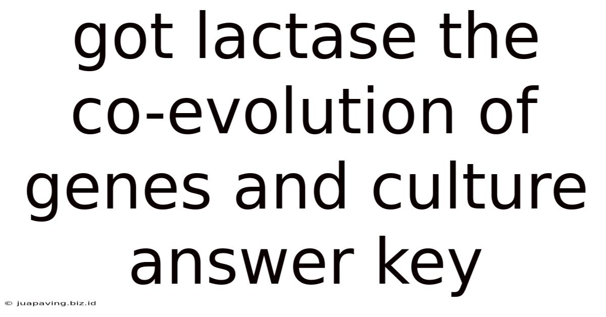 Got Lactase The Co-evolution Of Genes And Culture Answer Key