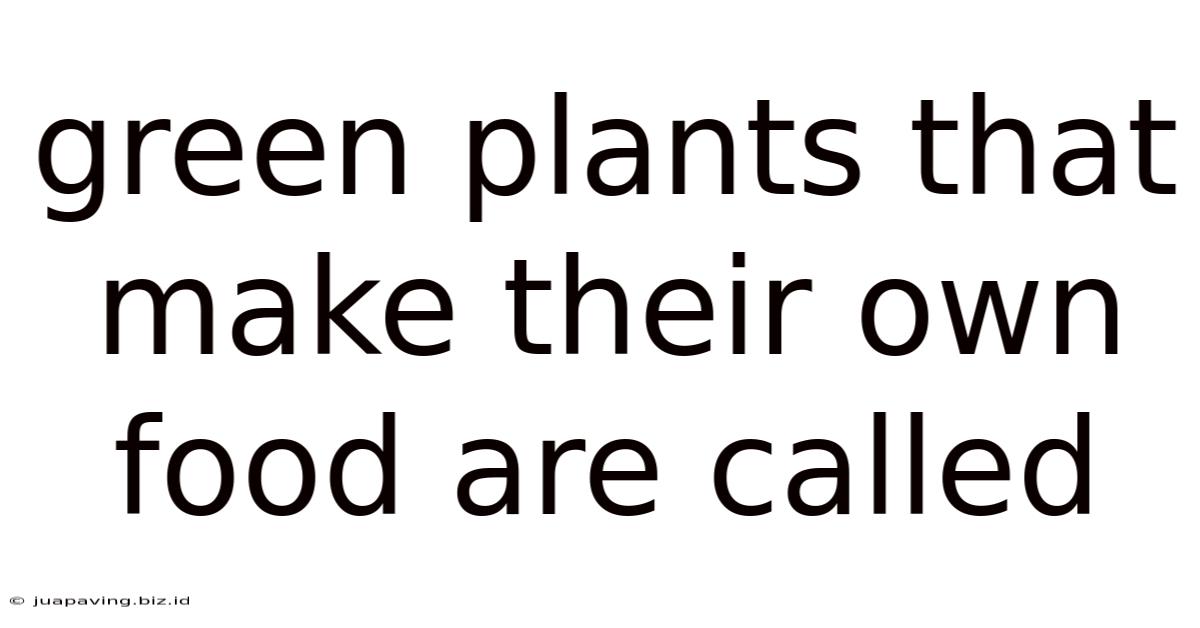 Green Plants That Make Their Own Food Are Called