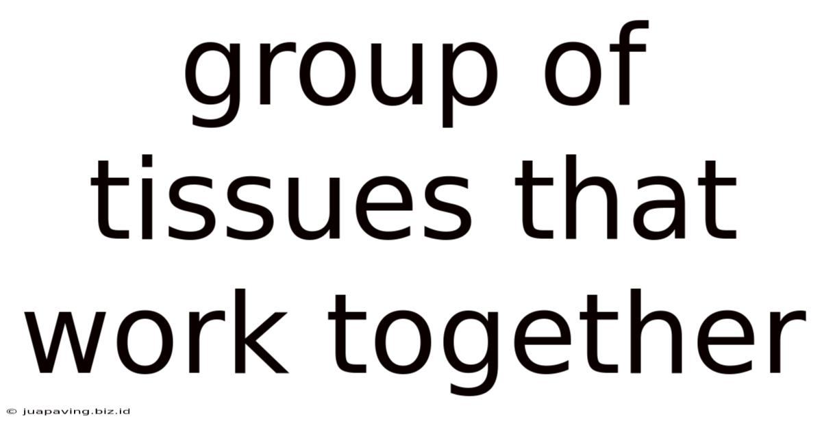 Group Of Tissues That Work Together