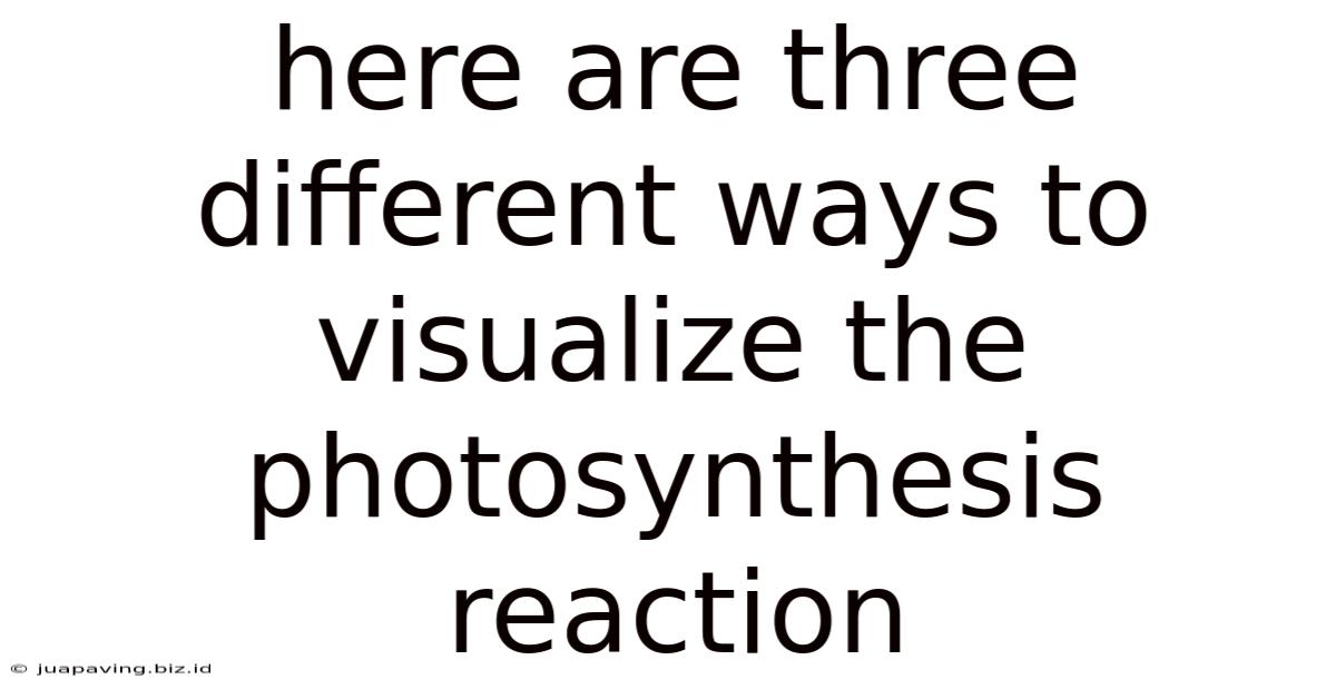 Here Are Three Different Ways To Visualize The Photosynthesis Reaction