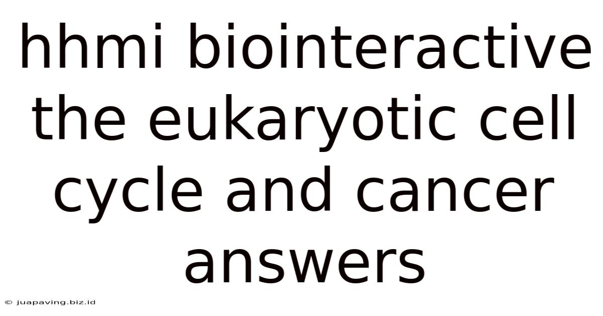 Hhmi Biointeractive The Eukaryotic Cell Cycle And Cancer Answers