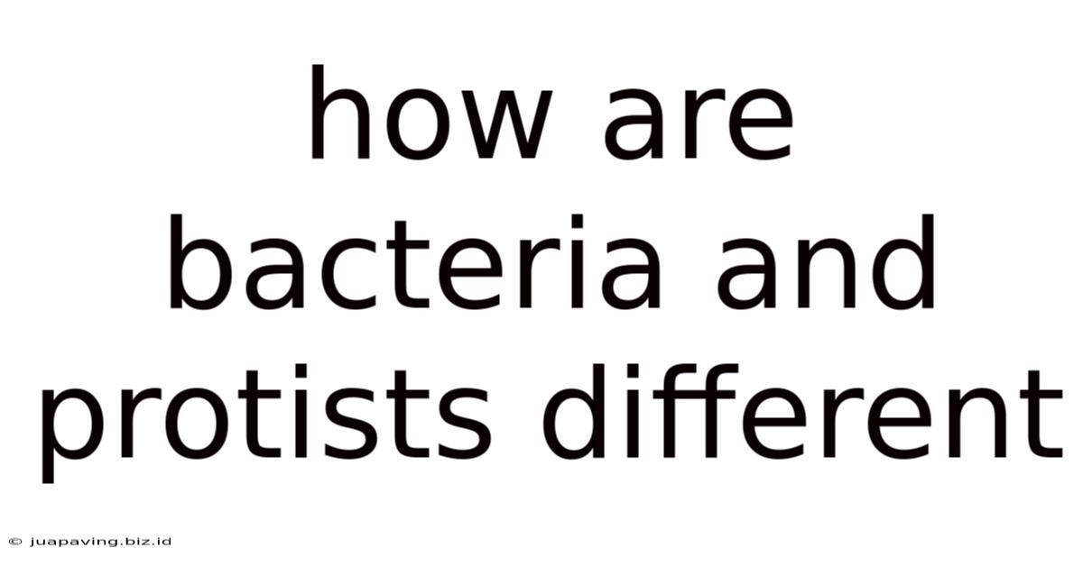 How Are Bacteria And Protists Different
