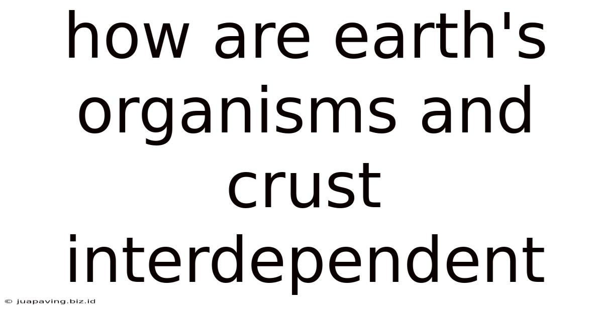 How Are Earth's Organisms And Crust Interdependent