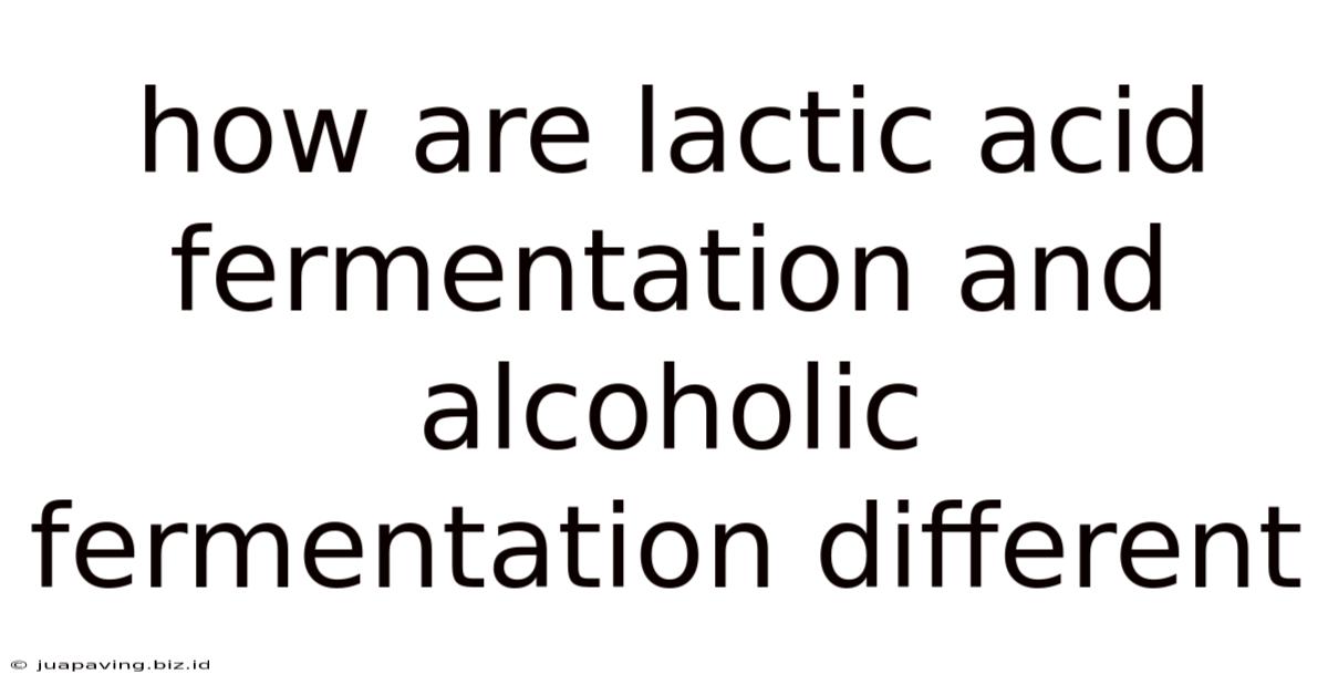 How Are Lactic Acid Fermentation And Alcoholic Fermentation Different