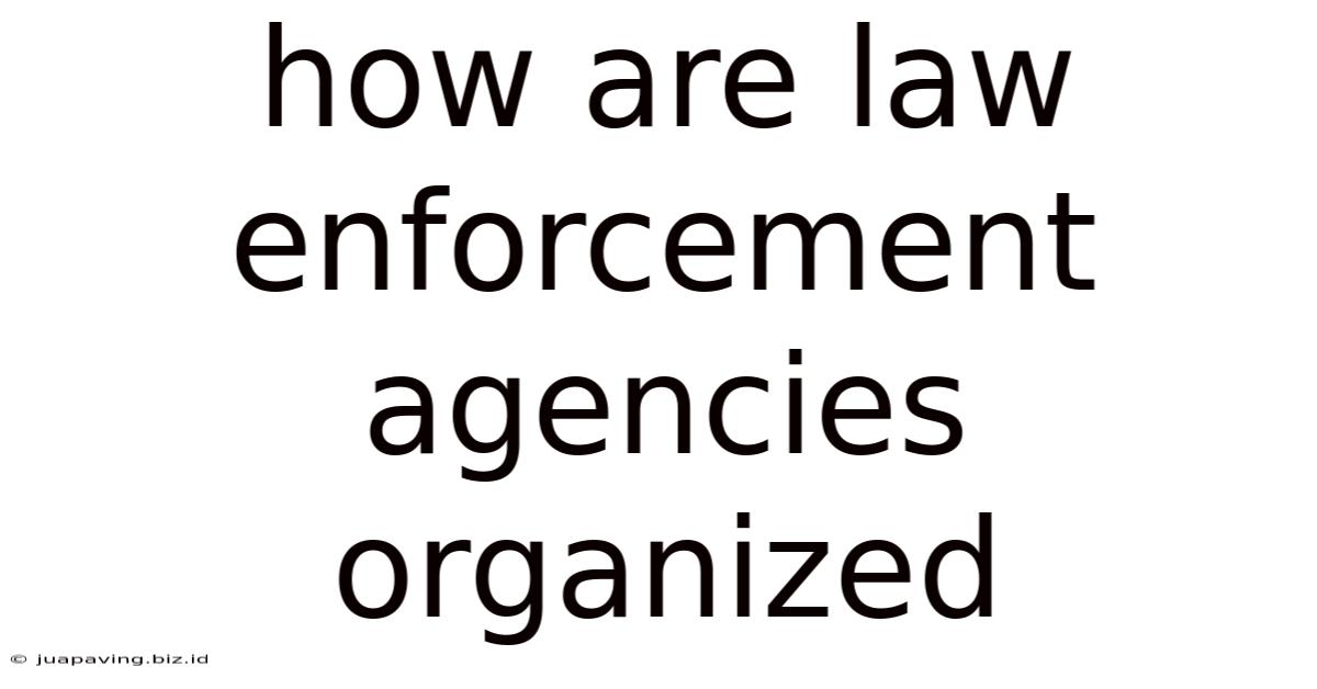 How Are Law Enforcement Agencies Organized