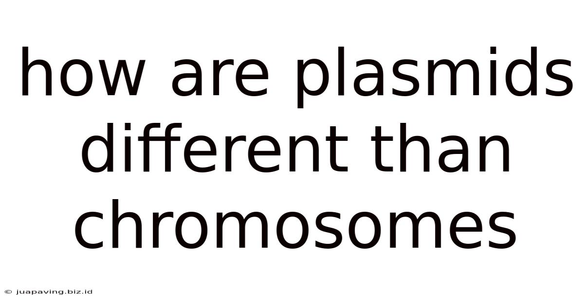How Are Plasmids Different Than Chromosomes