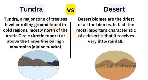 How Are The Tundra And Desert Similar