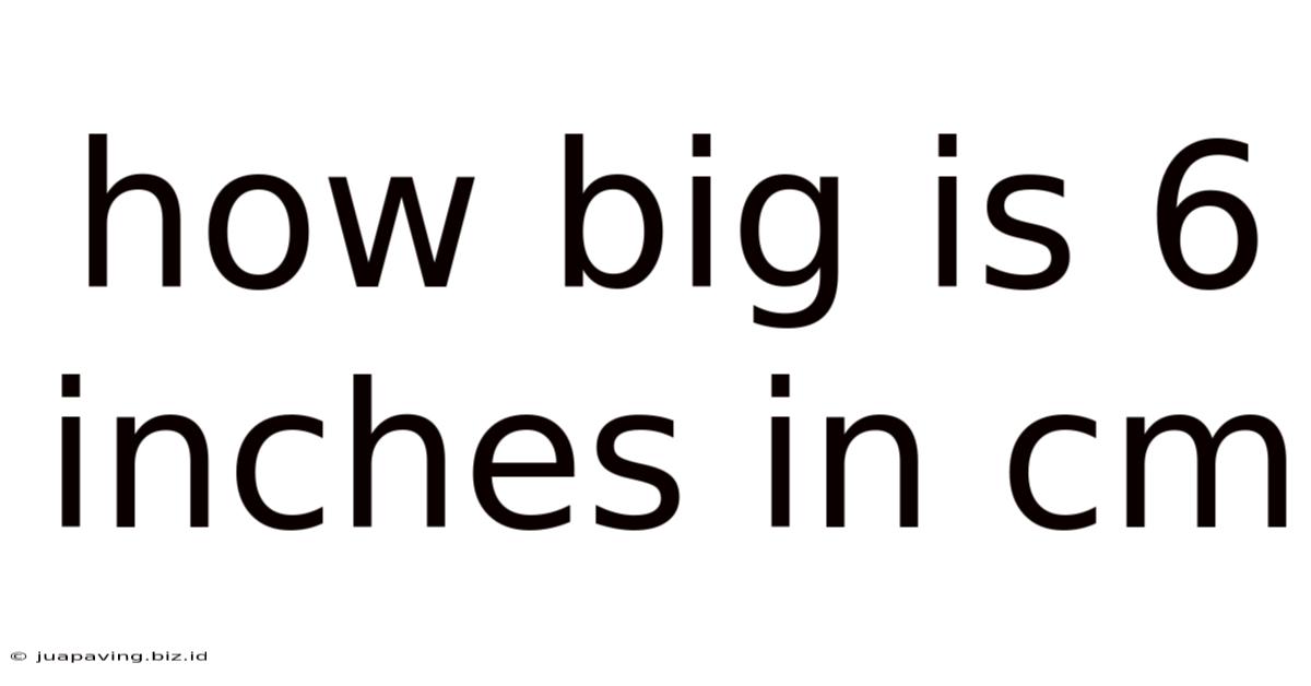 How Big Is 6 Inches In Cm