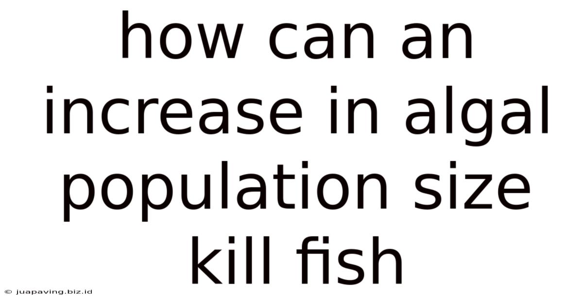 How Can An Increase In Algal Population Size Kill Fish