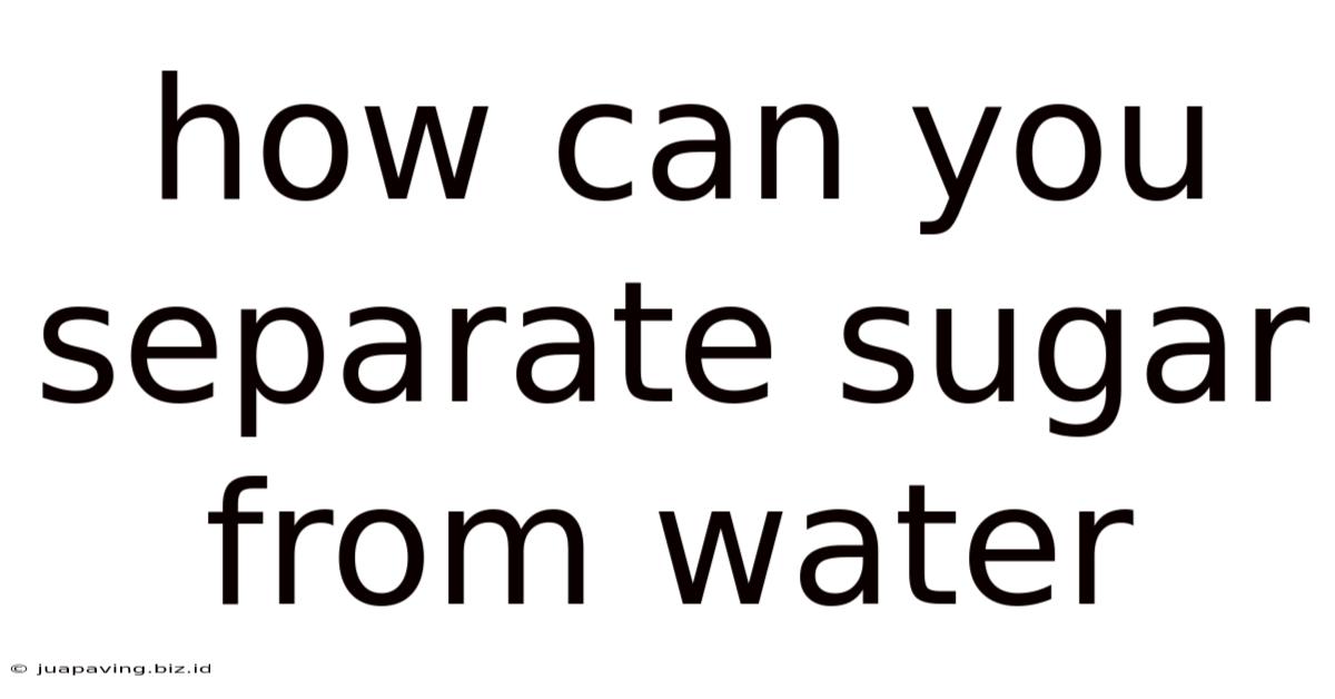 How Can You Separate Sugar From Water