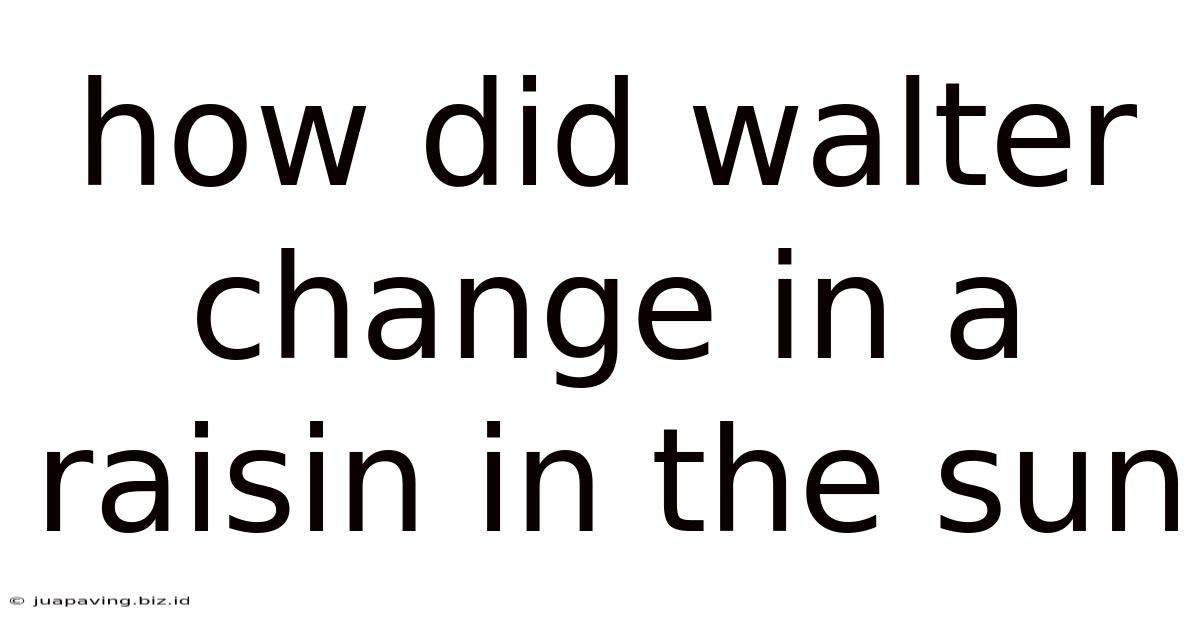How Did Walter Change In A Raisin In The Sun