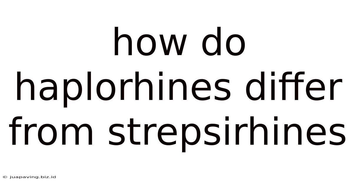 How Do Haplorhines Differ From Strepsirhines