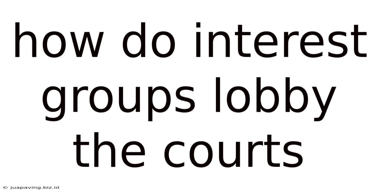 How Do Interest Groups Lobby The Courts