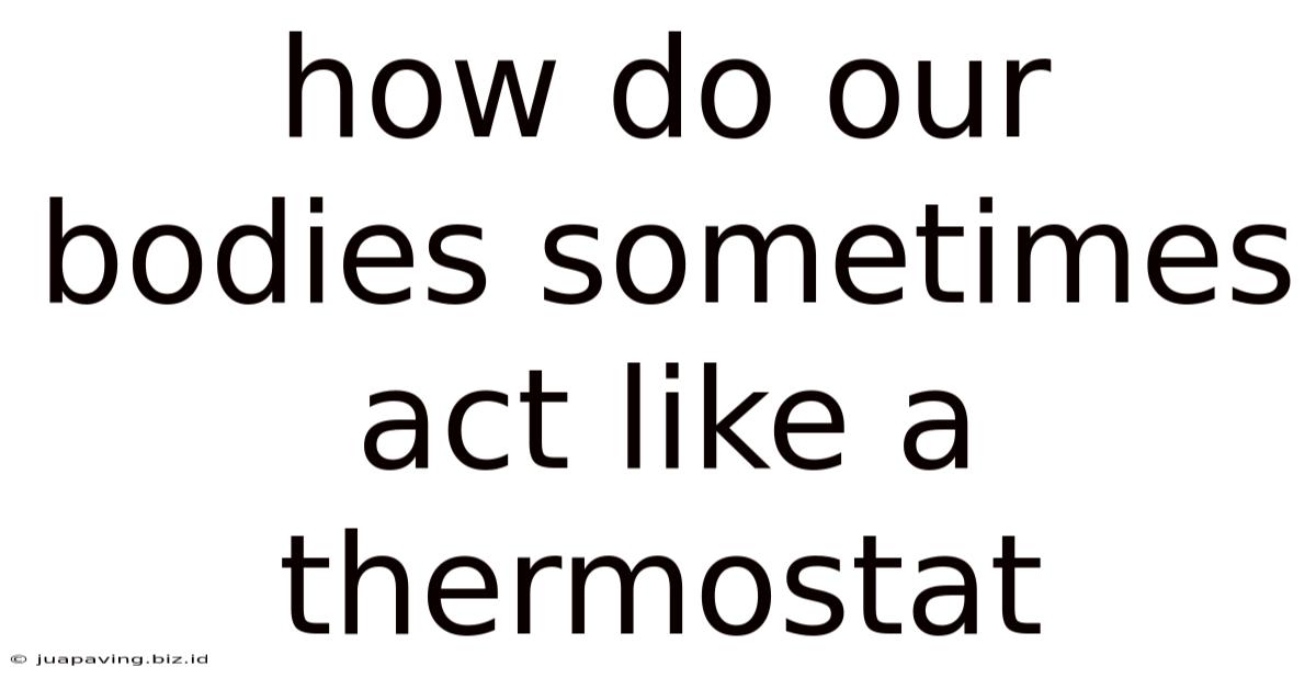 How Do Our Bodies Sometimes Act Like A Thermostat