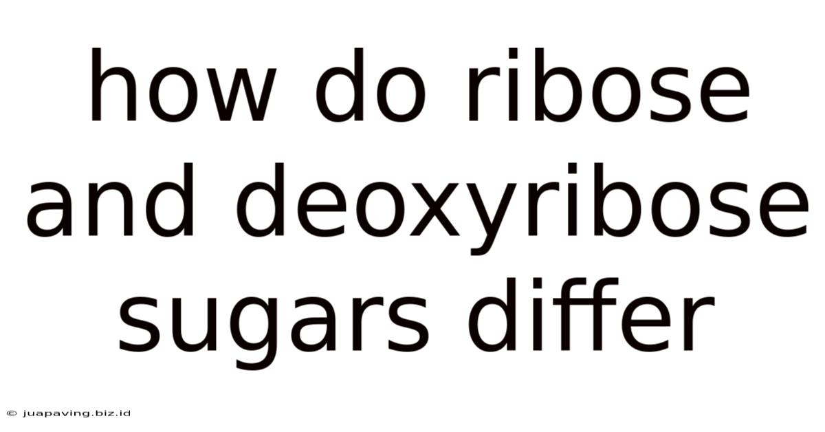 How Do Ribose And Deoxyribose Sugars Differ