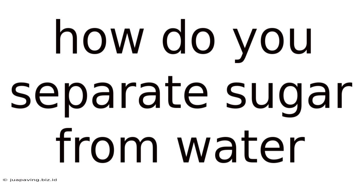 How Do You Separate Sugar From Water