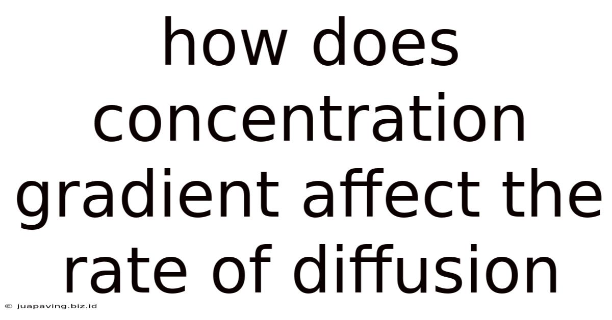 How Does Concentration Gradient Affect The Rate Of Diffusion