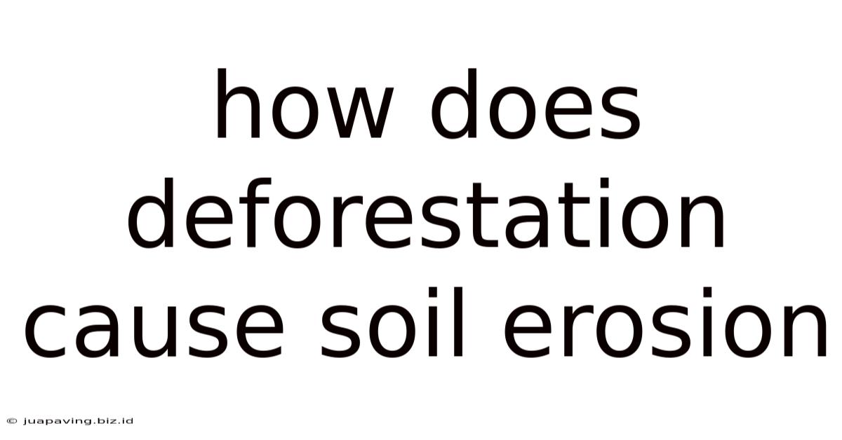 How Does Deforestation Cause Soil Erosion