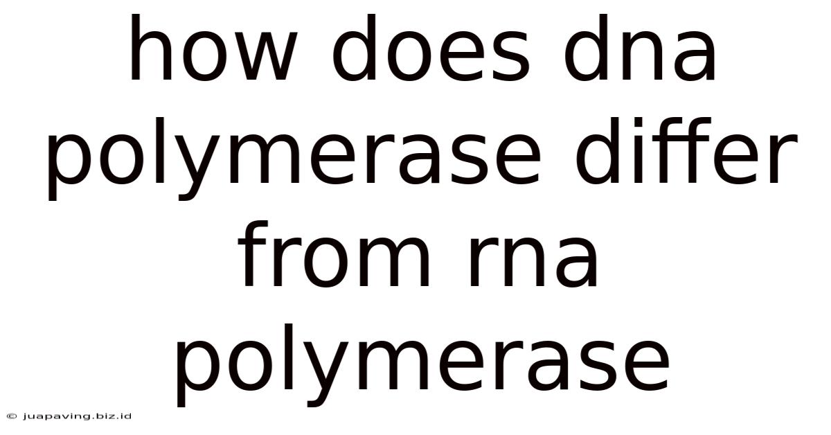 How Does Dna Polymerase Differ From Rna Polymerase