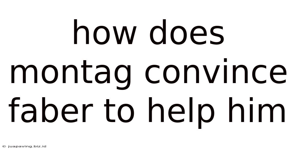 How Does Montag Convince Faber To Help Him