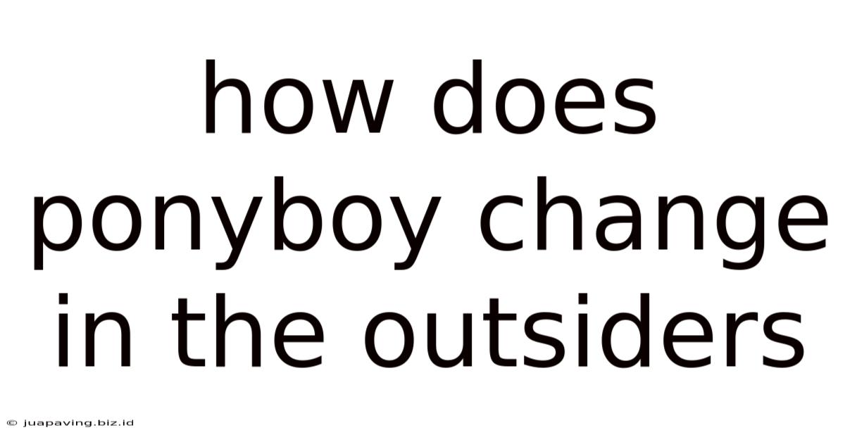 How Does Ponyboy Change In The Outsiders