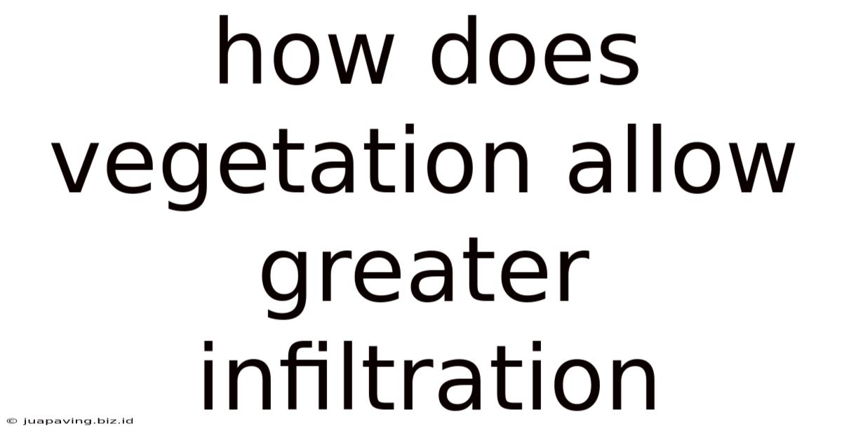 How Does Vegetation Allow Greater Infiltration