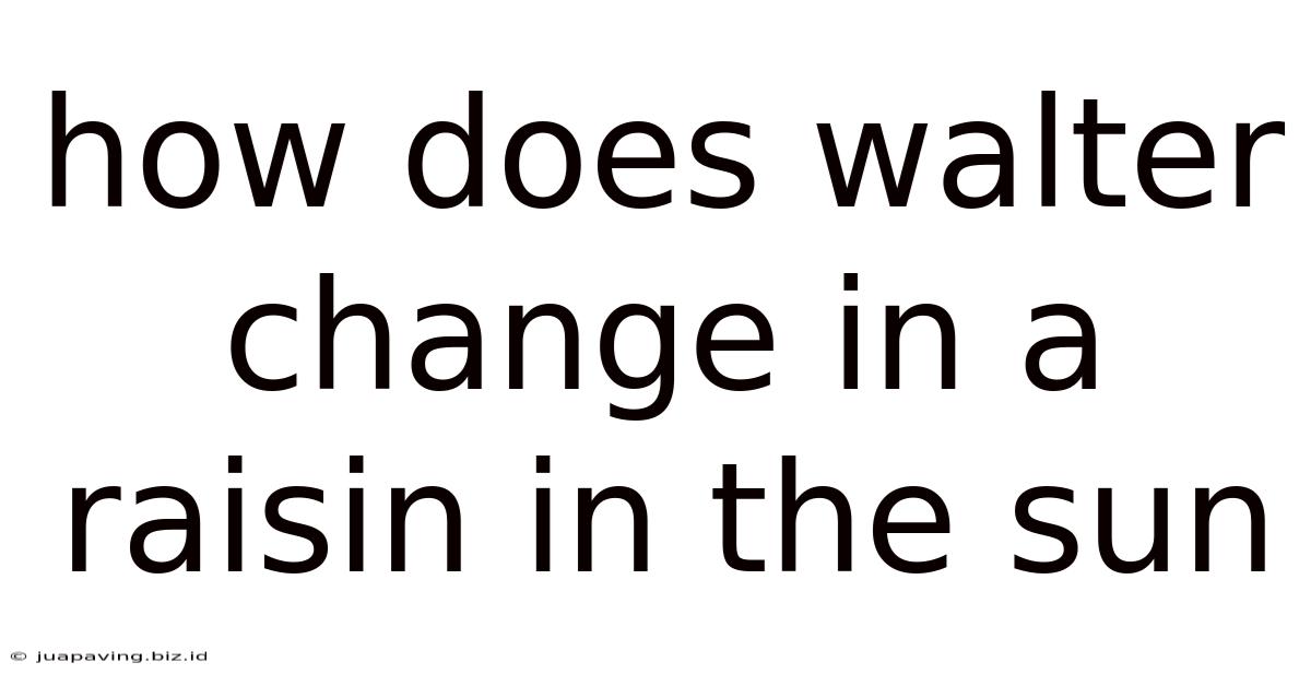 How Does Walter Change In A Raisin In The Sun