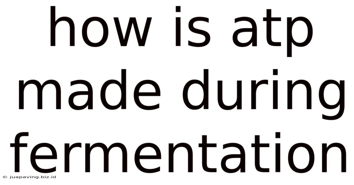 How Is Atp Made During Fermentation