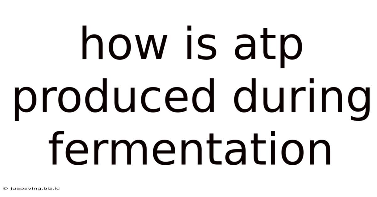 How Is Atp Produced During Fermentation