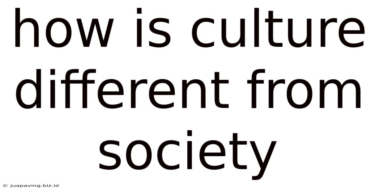 How Is Culture Different From Society